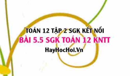 Bài 5.5 SGK Toán 12 tập 2 Kết nối tri thức